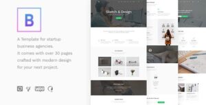 BoTheme WordPress Theme