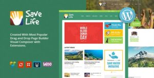 Save WordPress Theme