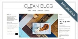 Clean Blog Responsive WordPress Theme