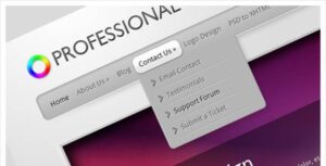 TheProfessional Premium WordPress Theme