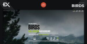 Birds - Responsive Coming Soon Page