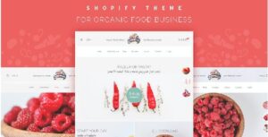 Bixbang Minimalist eCommerce Shopify Template